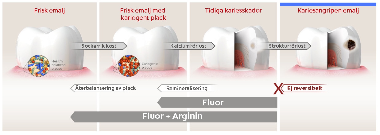 Förebygga, hantera och behandla