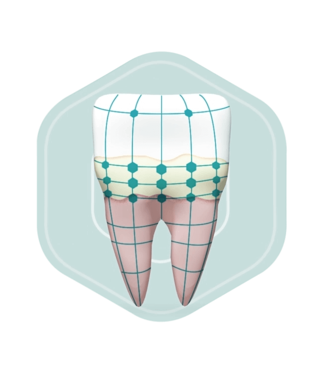 Pro Argin® Toothpaste Efficacy - Docimo et al Summary