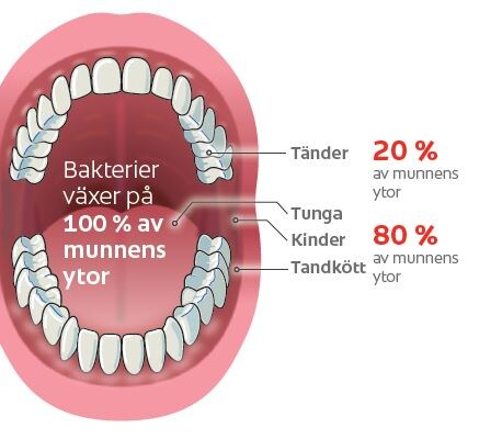 Bakterier växer på 100 % av munnens ytor